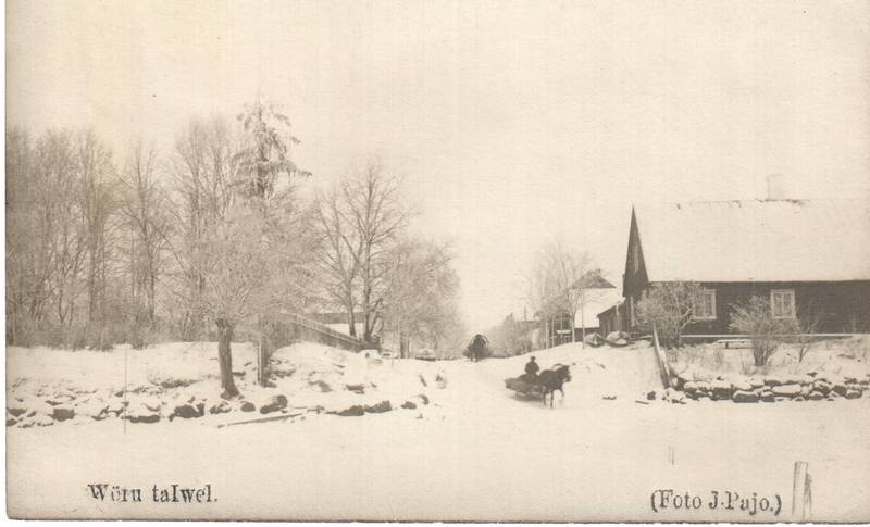 Foto. Võru talvel, Tamula järve kaldal.