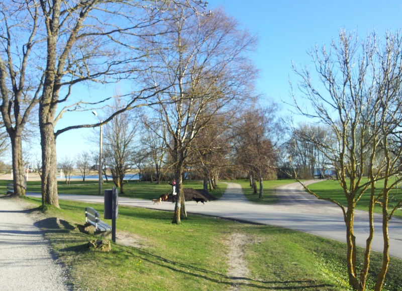 Kohvik "Trinkhalle" rannas. rephoto
