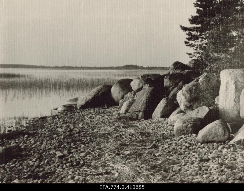 Vehendi rand Võrtsjärve ääres.