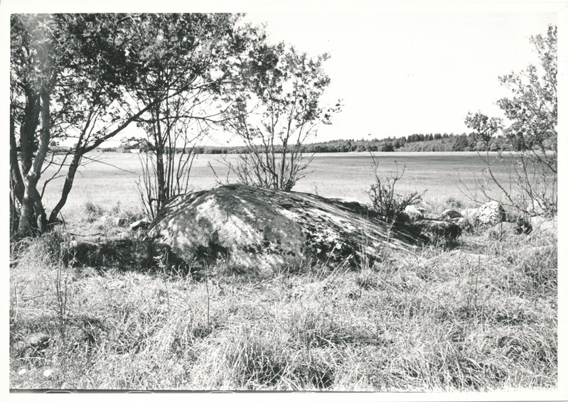 Kultusekivi Aresi Altküla põllul