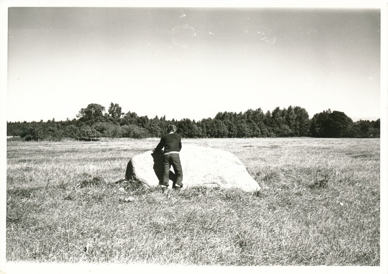 Kultusekivi Aresi Altküla põllul