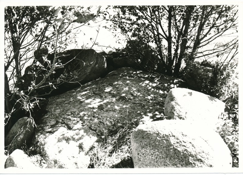 Kultusekivi Aresi Altküla põllul