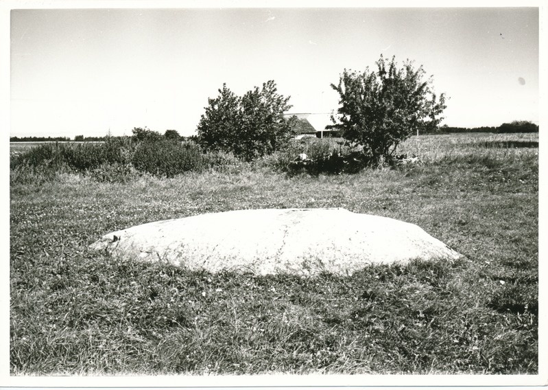 Kultusekivi Aresi-Vanakülas