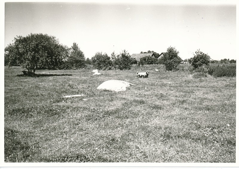 Kultusekivi Aresi-Vanakülas