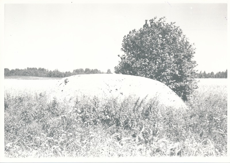 Kultusekivi Aresi-Vanakülas