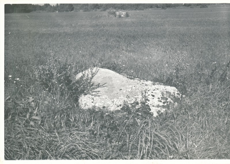 Kultusekivi Aresi-Vanakülas