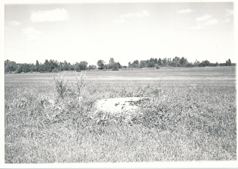 Kultusekivi Aresi-Vanakülas