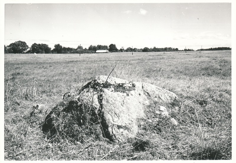 Kultusekivi Aresi-Altkülas