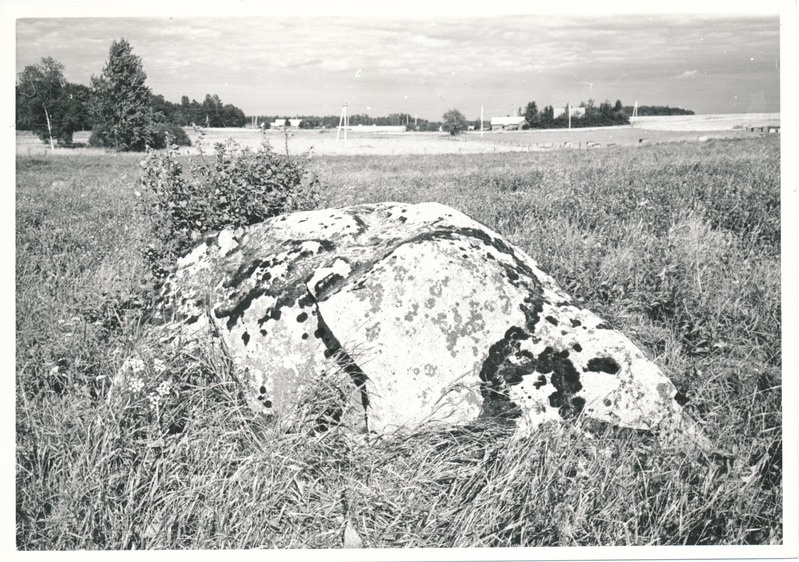 Kultusekivi Kohala külas