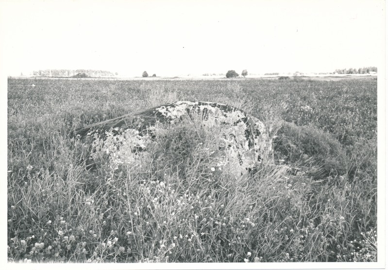 Kultusekivi Kohala külas