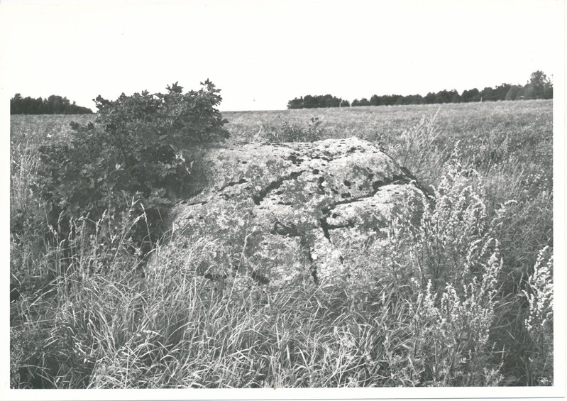 Kultusekivi Kohala külas