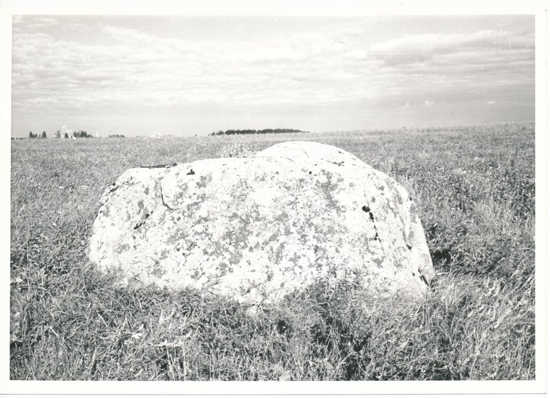 Kultusekivi Kohala külas