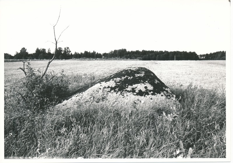 Kultusekivi Kohala külas