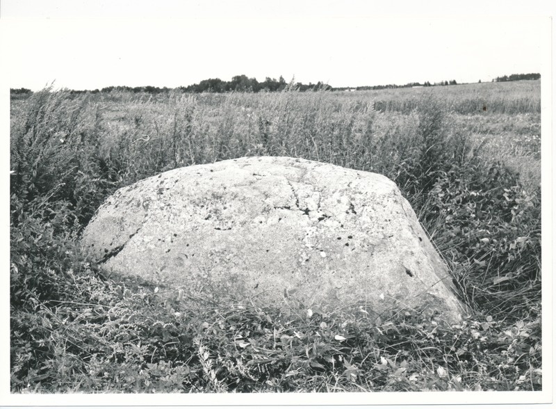 Kultusekivi Kohala külas