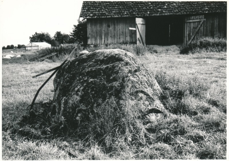 Kultusekivi Koonu külas