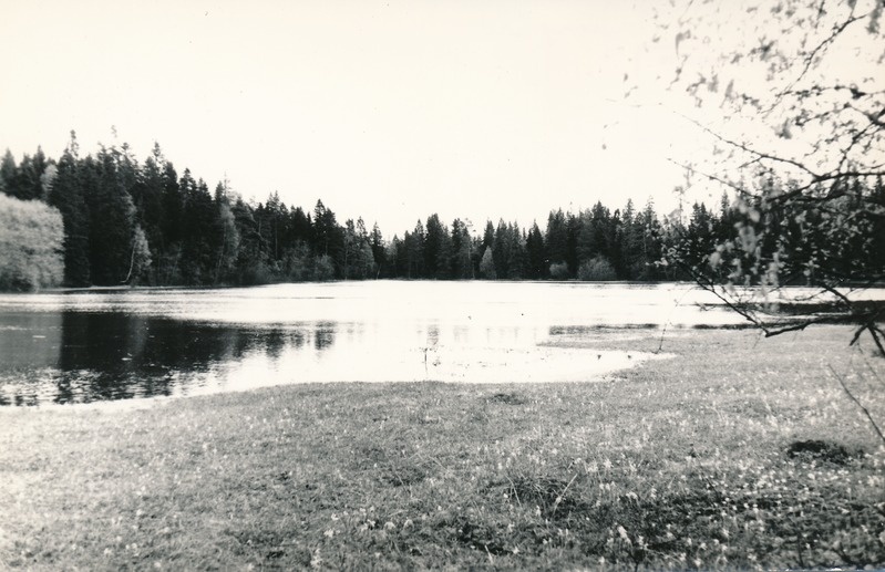 Neeruti Tagajärv
