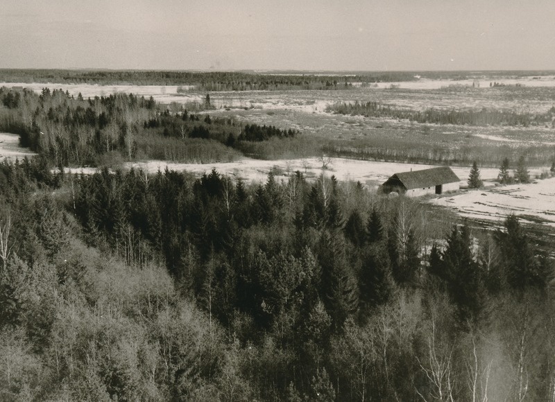 Varangu