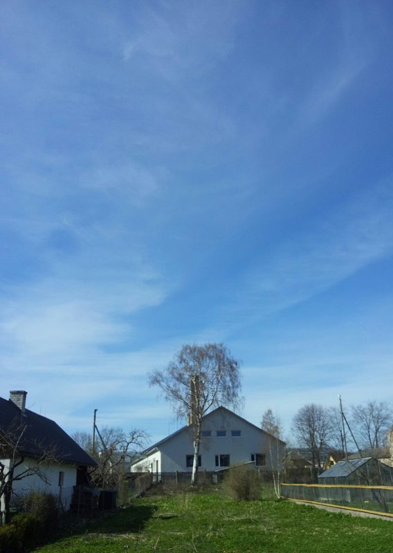 [Wildenbergi nahavabriku] hooned. rephoto
