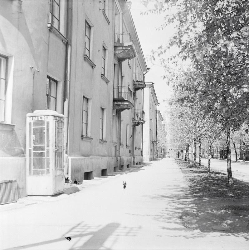 Raudteelaste elamud Koidu tänaval Tallinnas, pildil ka telefoniputka, 1960. aastad