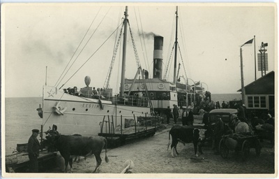 The port of Romassaare, the cows in the harbour and the ship near the harbour of Estonia  similar photo