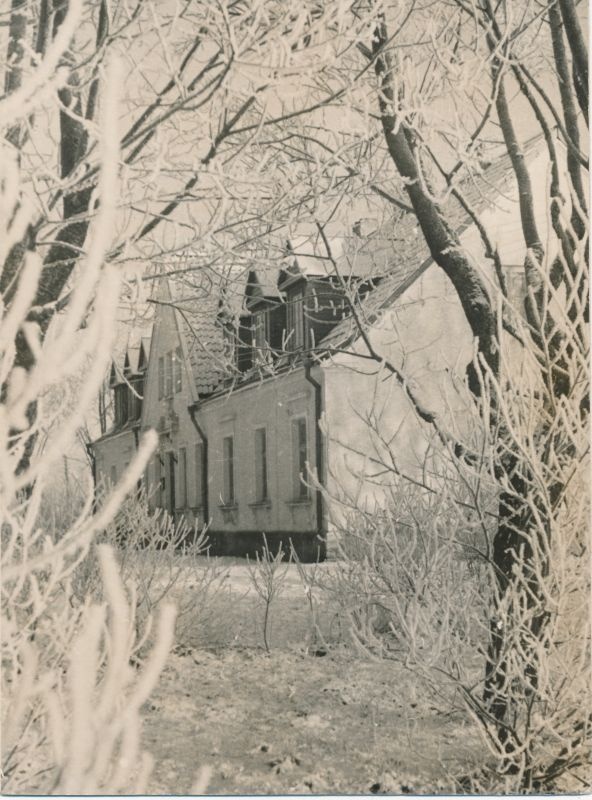 Photo postcard. New Year. Paide Museum.