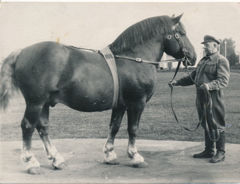 Kolhoosi "Jõud" esimees Julius Ehasalu