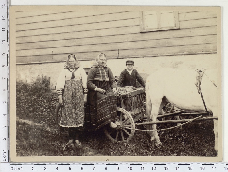 Naised ja poiss hobuvankriga, Jämaja