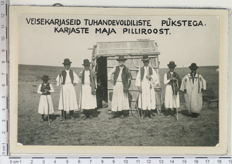Härjakarjus oma kuue lapsega, tagaplaanil pilliroost karjaseonn. Ungari