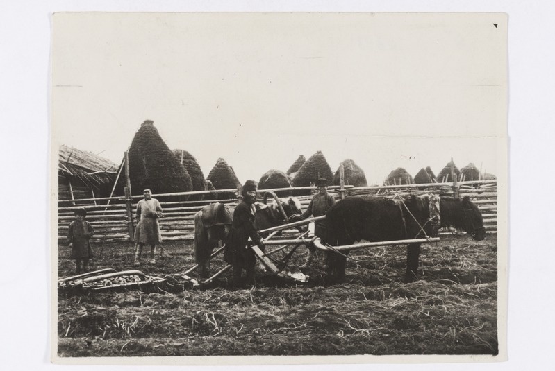 Rehi, votjakid adra ja äkkega 1913