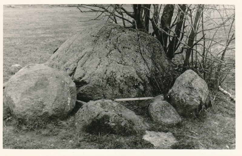 Kultusekivi Haljalas