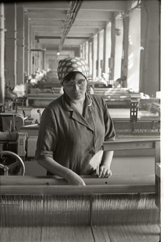 Jevdokia Vasilkova, Uue kudumisvabriku kangur