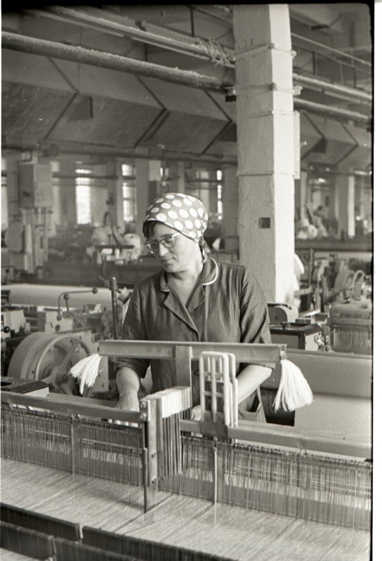 Jevdokia Vasilkova, Uue kudumisvabriku kangur