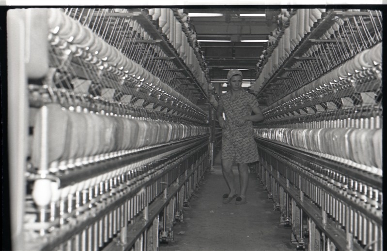 Svetlana Petrova, ketraja