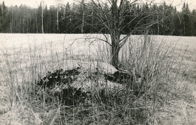 Kultusekivi Kärus Onga talus
