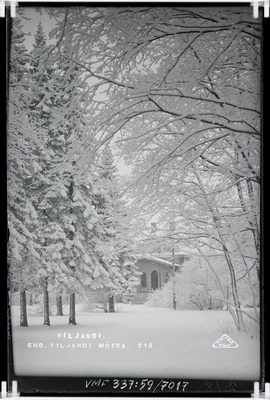 fotonegatiiv, Viljandi, mõisapark, eemal peahoone (nn Uus loss), u 1925 foto J. Riet  duplicate photo