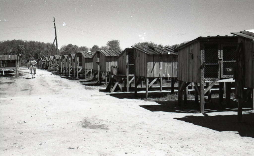 Sandla sovhoosi rebasefarm