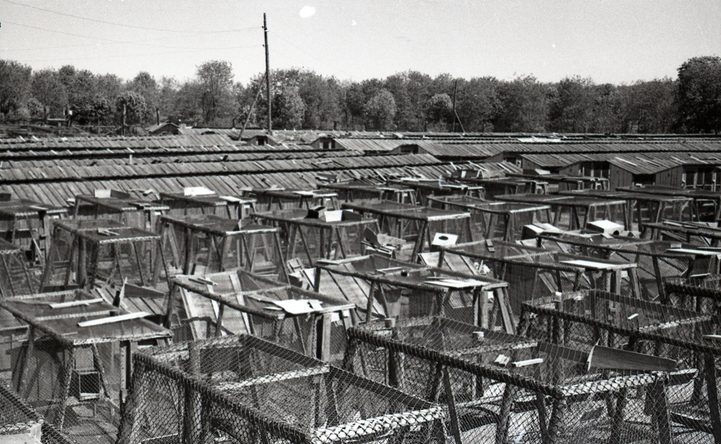 Sandla sovhoosi rebasefarm