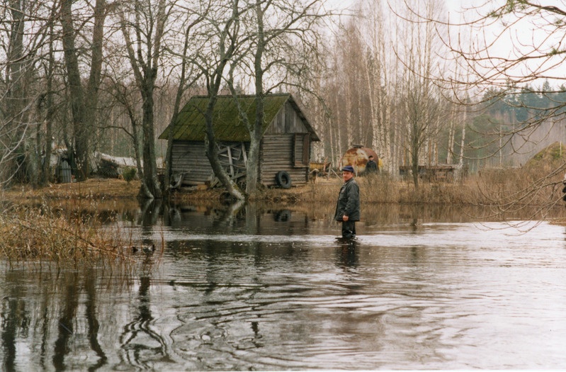 Loodusvaated lumesulamise tagajärjel tekkinud üleujutus 1999. a kevadel