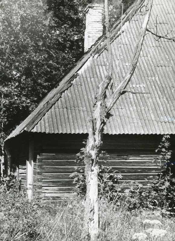 Varesmetsa rahvamaja, 1989. a suvel