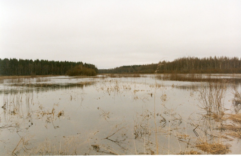 Loodusvaated lumesulamise tagajärjel tekkinud üleujutus 1999. a kevadel