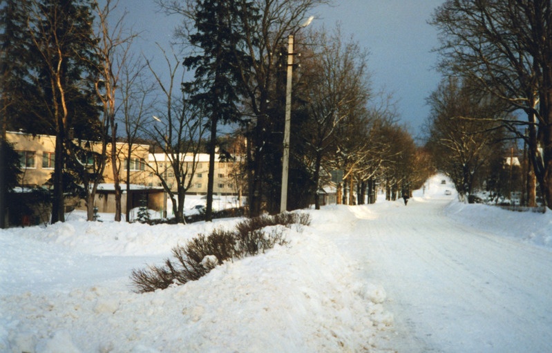 Vaade talvinsest Iisakust