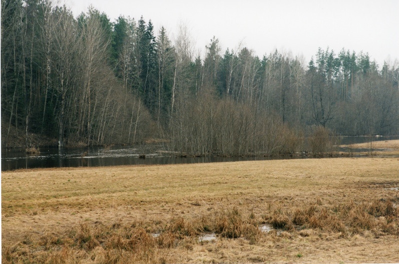 Loodusvaated lumesulamise tagajärjel tekkinud üleujutus 1999. a kevadel