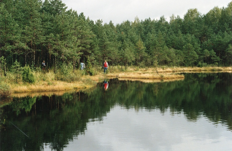 Kurtna järv