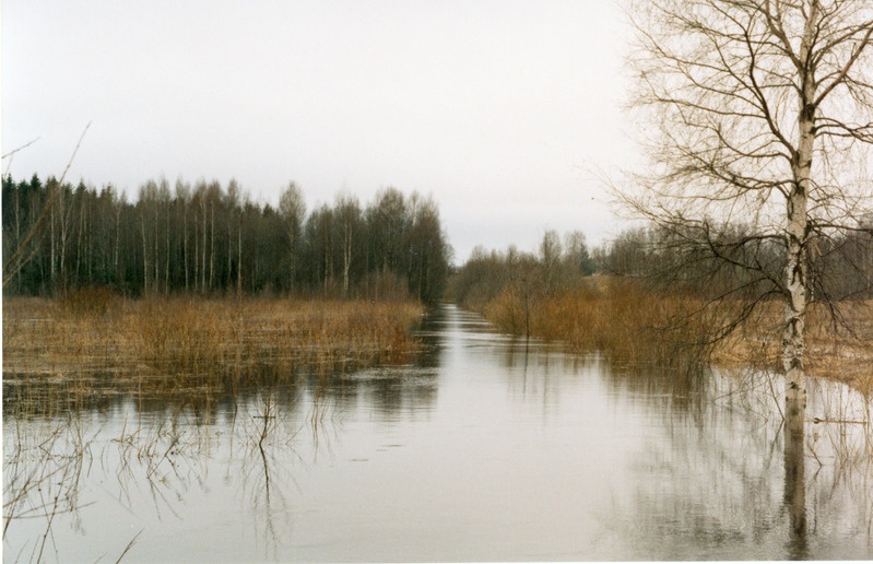 Loodusvaated lumesulamise tagajärjel tekkinud üleujutus 1999. a kevadel