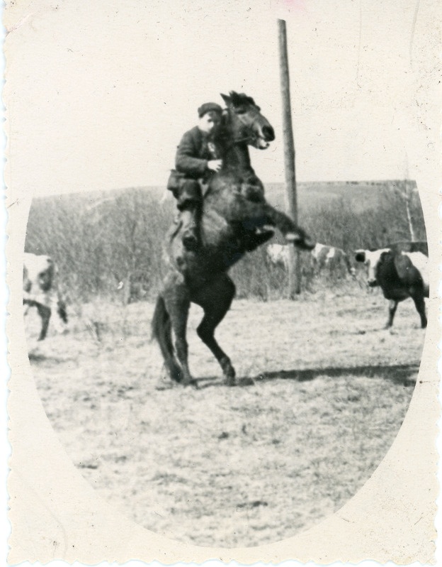 Jaak Karp Dimitrovi kolhoosis karjakuna tööl 1954-1955.a