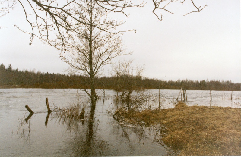 Loodusvaated lumesulamise tagajärjel tekkinud üleujutus 1999. a kevadel