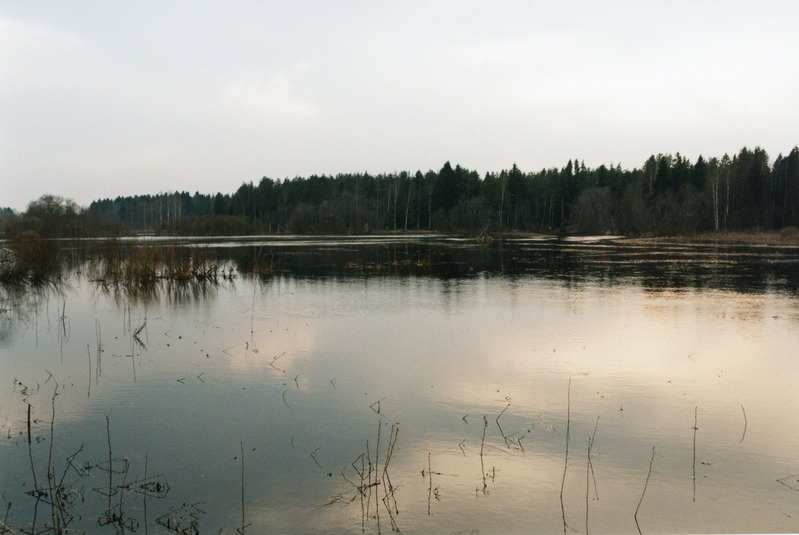 Loodusvaated lumesulamise tagajärjel tekkinud üleujutus 1999. a kevadel