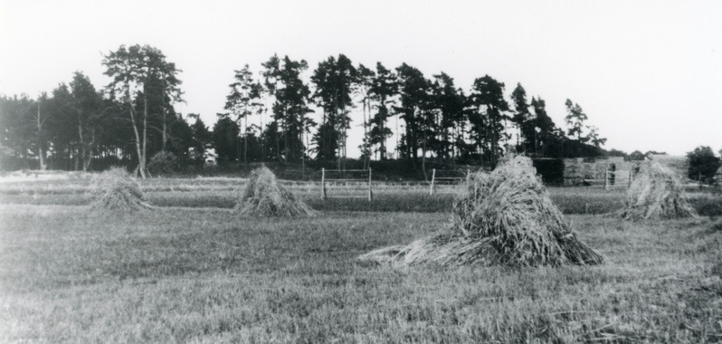 Rannapungerja lauaveski ja kalmuküngas, 1937. a ?