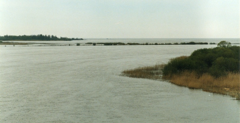Vasknarva, Narva jõgi