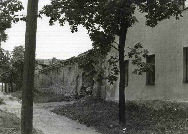 Location of the oak manor drill (kunagine White Hobu/White Hobuse drill) near Riga mnt. The wall of the Kõrtsihove. Tartu, 1977.